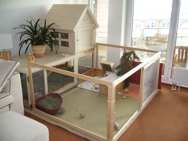 indoor rabbit cage
